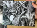 « The Spirit of the woods »  - paper print