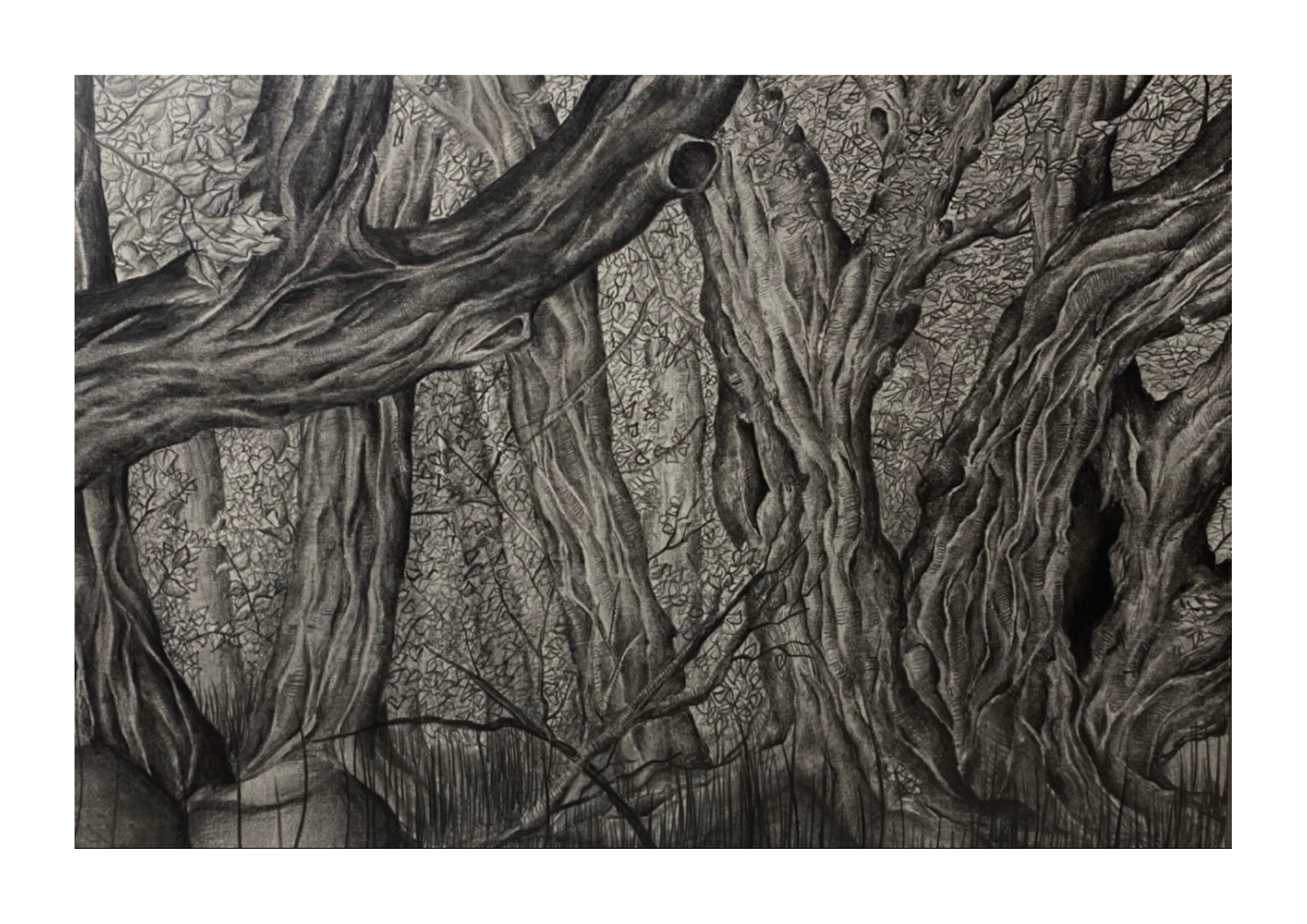 « Forest in Motion » - paper print