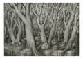 « The forest of Repetition » - paper print