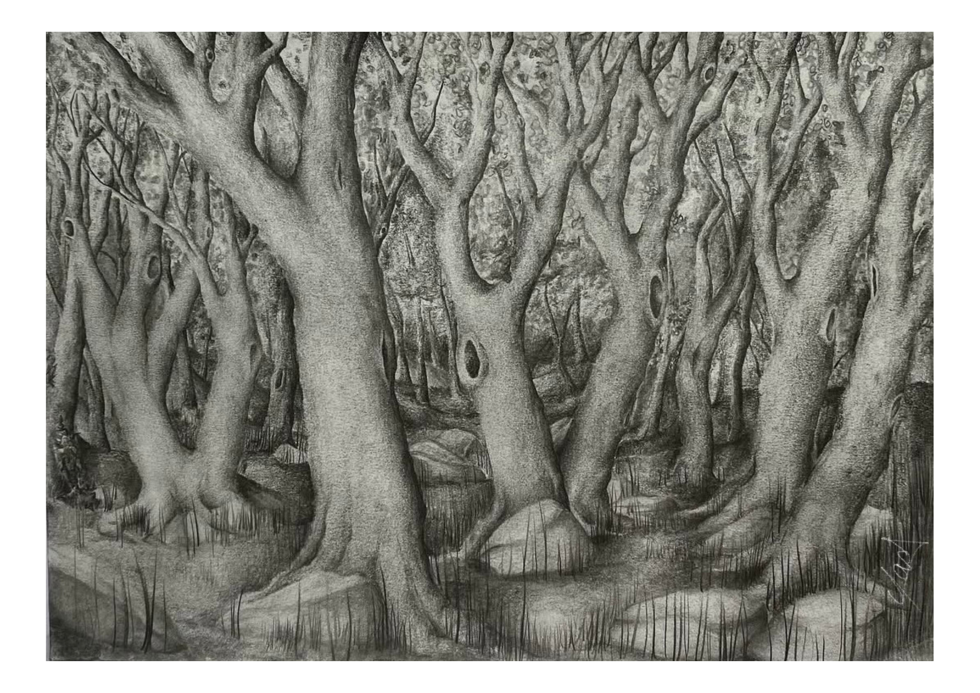 « The forest of Repetition » - paper print